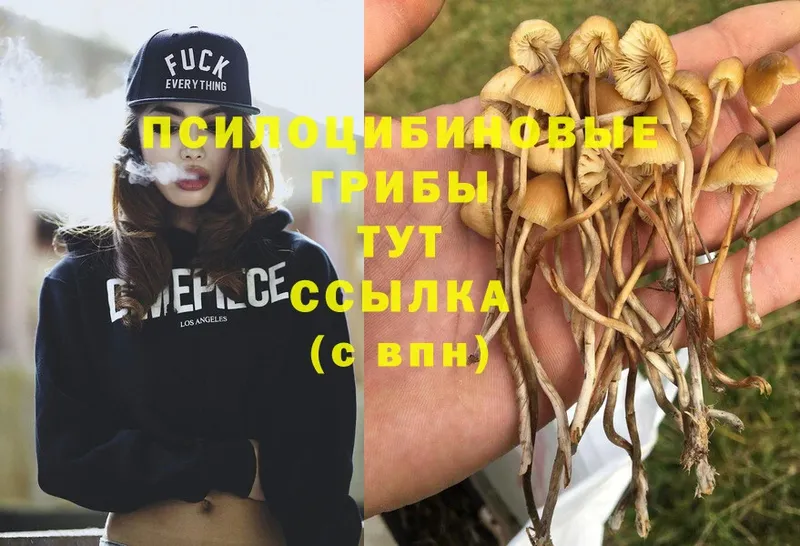 Галлюциногенные грибы GOLDEN TEACHER  Оханск 